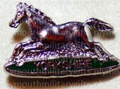 PWO Regiment of Yorkshire Lapel Pin
